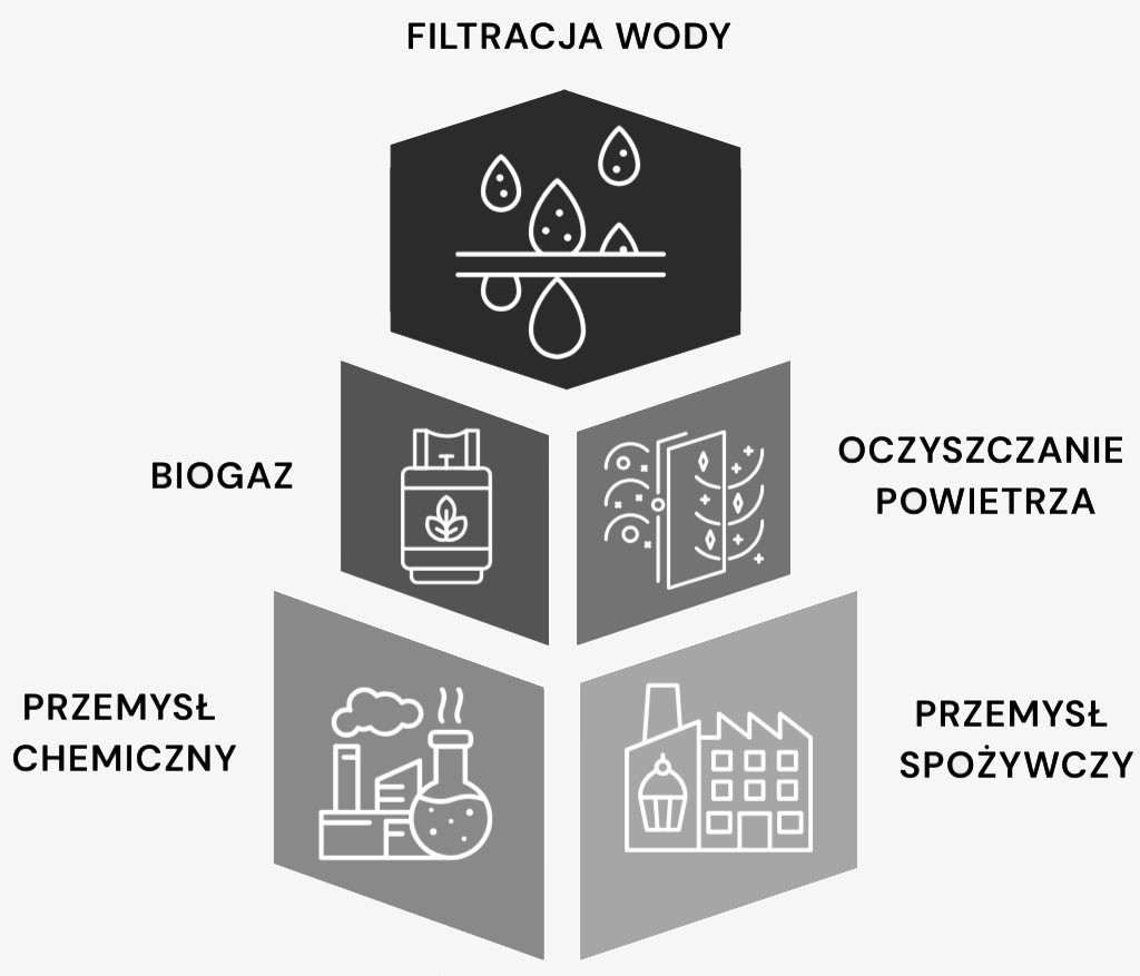 Zastosowania Węgla Aktywnego